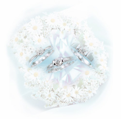 Crossfor Diamond Collection